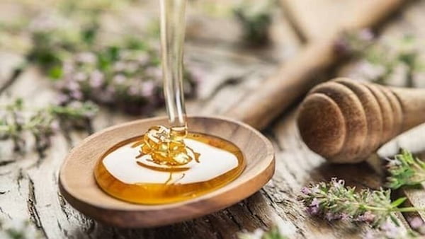 تصویر 2 از قیمت خرید عسل زرشک خراسان با فروش عمده